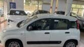Immagine di FIAT PANDA 1.3 MJT 95CV EASY