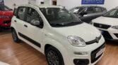 Immagine di FIAT PANDA 1.3 MJT 95 EASY