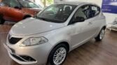 Immagine di LANCIA YPSILON 1.2 69CV GOLD PROMO ESTATE