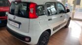 Immagine di FIAT PANDA 1.2 GPL 69CV EASY PROMO ESTATE