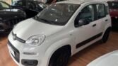Immagine di FIAT PANDA 1.2 GPL 69CV EASY PROMO ESTATE