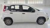 Immagine di FIAT PANDA 1.2 69CV – Marzo 2019