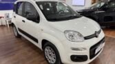 Immagine di FIAT PANDA 1.2 69CV – Marzo 2019