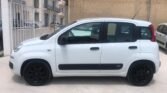 Immagine di FIAT PANDA 1.2 69CV MAGGIO 2016